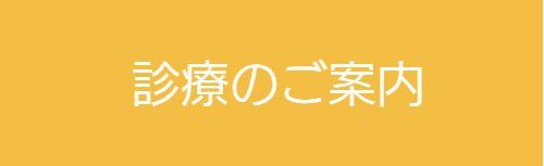 診療のご案内|大阪福島区玉川の内科クリニック
